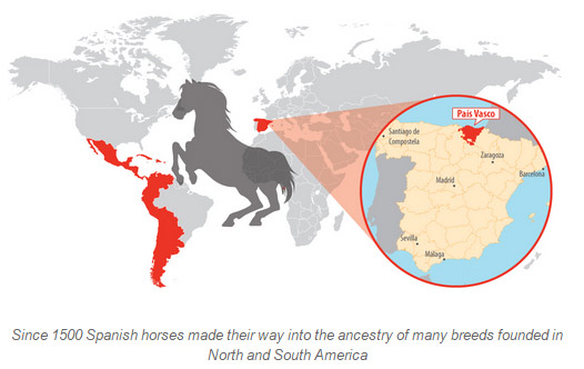 spanish-horses