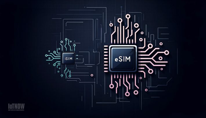 eSIM chip and iSIM element