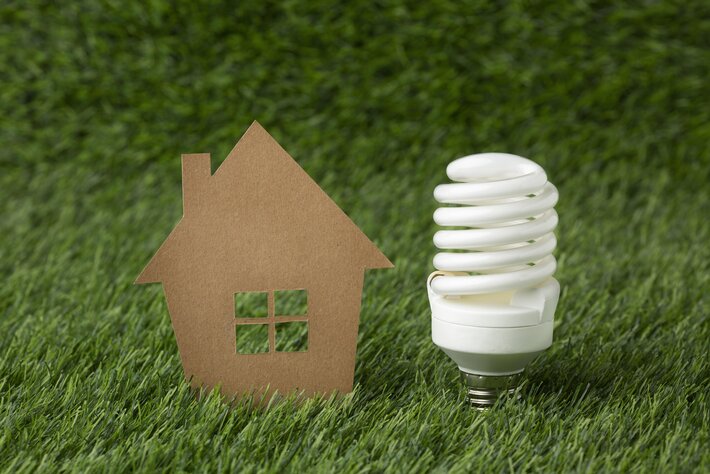 light bulb with miniature house